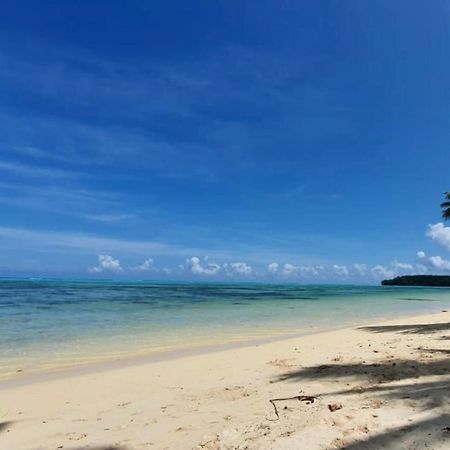 Auti Studio Direct Access To The Beach On Moorea With Ac -Wifi - Netflix Lejlighed Haapiti Eksteriør billede
