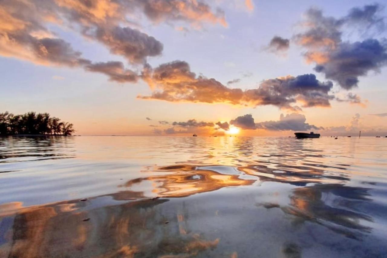 Auti Studio Direct Access To The Beach On Moorea With Ac -Wifi - Netflix Lejlighed Haapiti Eksteriør billede